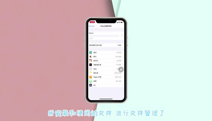 如何轻松查看iPhone中存储的文件内容？